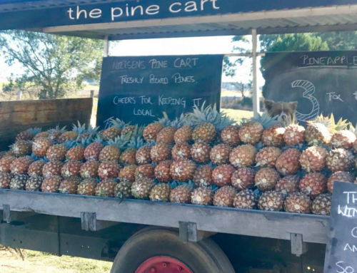 The Pineapple Cart